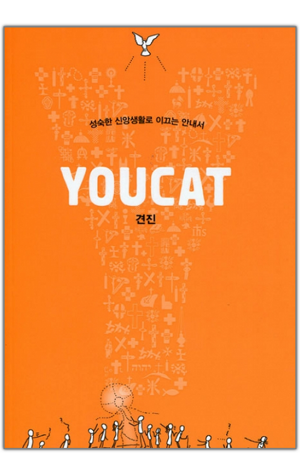 생활성서사 인터넷서점,YOUCAT 견진  / 가톨릭출판사,생활성서